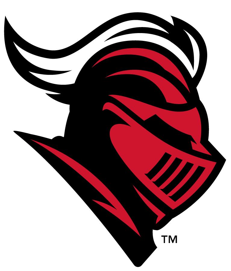 Rutgers Scarlet Knights 2016-Pres Secondary Logo diy iron on heat transfer